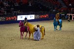 Quadrille - 00435
